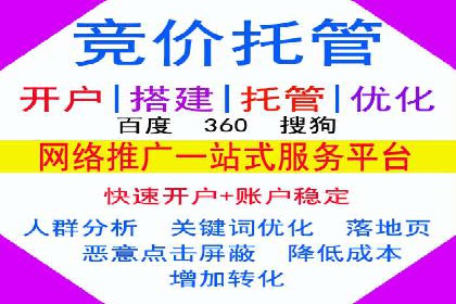 某电商平台的托管SEM竞价策略大揭秘